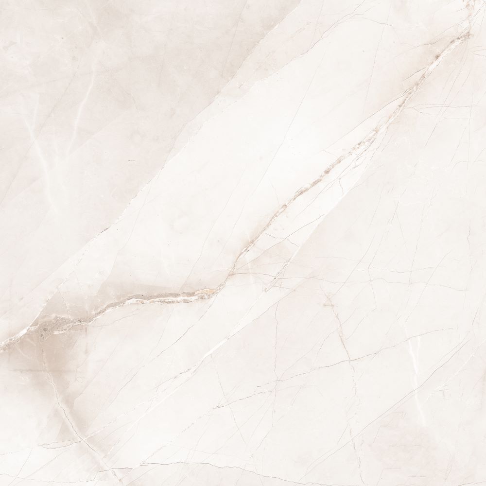 6060 PULPIS BONE MAT.jpeg